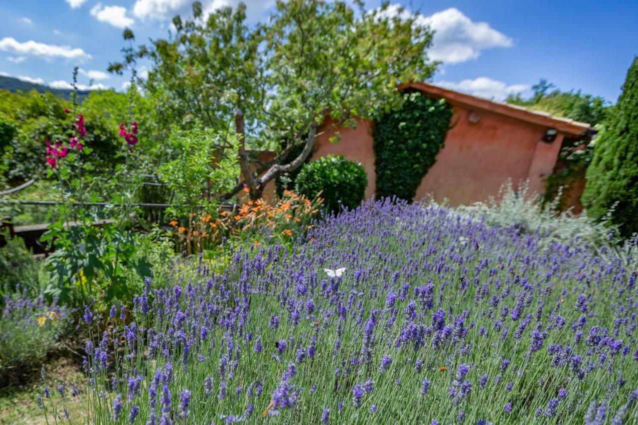 Casa Rosa Guest House Santa Maria Lignano Exterior photo